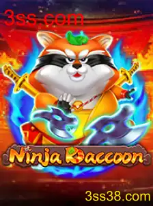 NinjaRaccoon